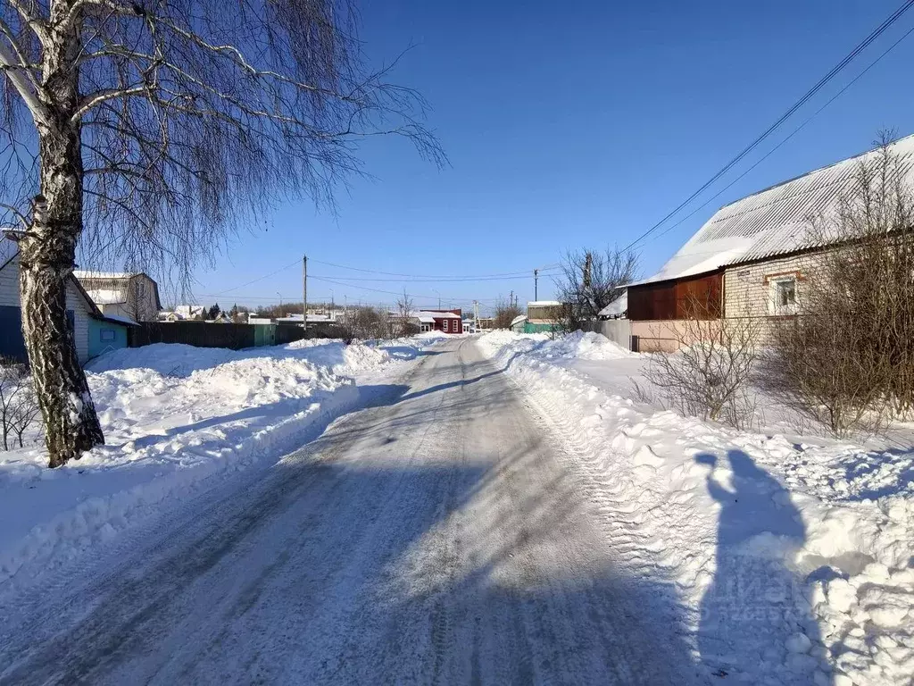 Участок в Воронежская область, Новоусманский район, с. Бабяково ул. ... - Фото 2