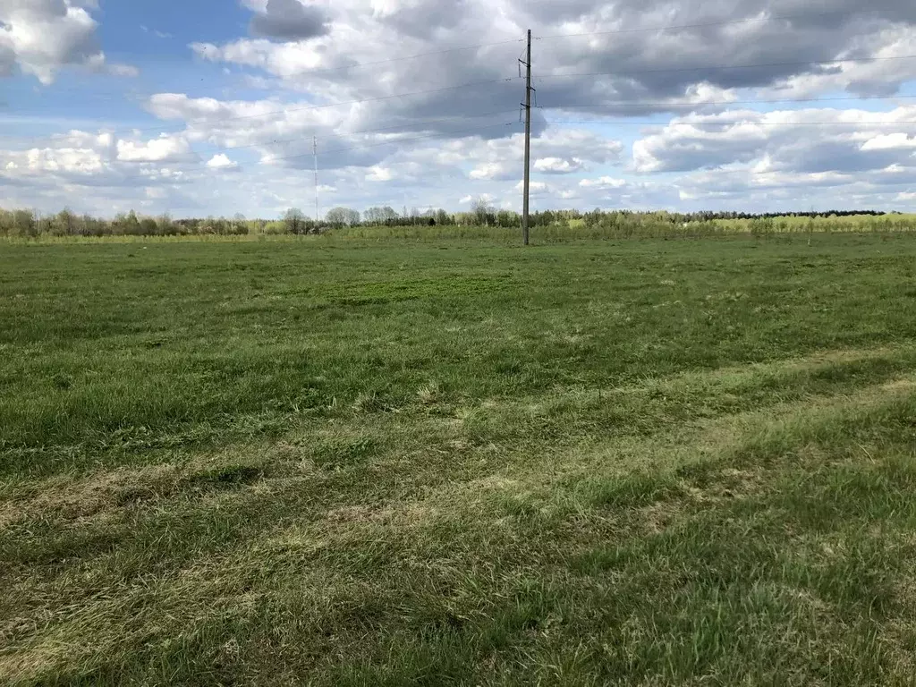 Участок в Ленинградская область, Лужский район, Мшинское с/пос, пос. ... - Фото 1