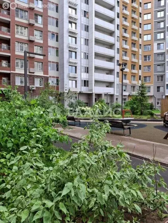 2-комнатная квартира: деревня Бородино, Малая Бородинская улица, 1к1 ... - Фото 1