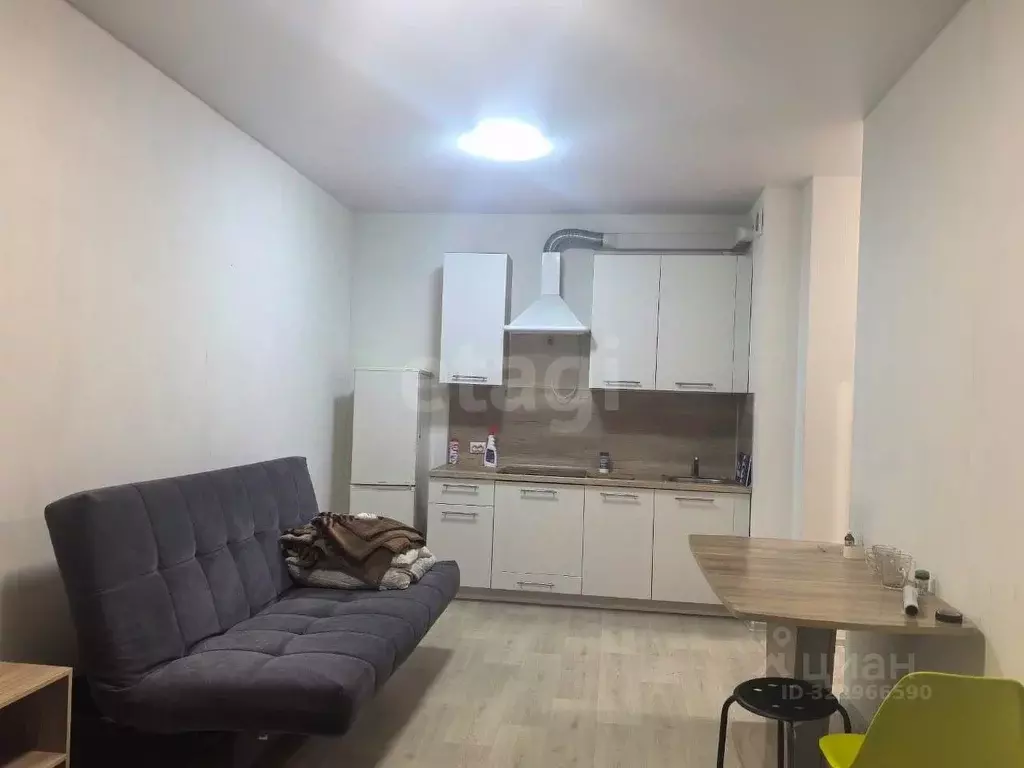 Студия Тюменская область, Тюменский муниципальный округ, с. Ембаево ... - Фото 1