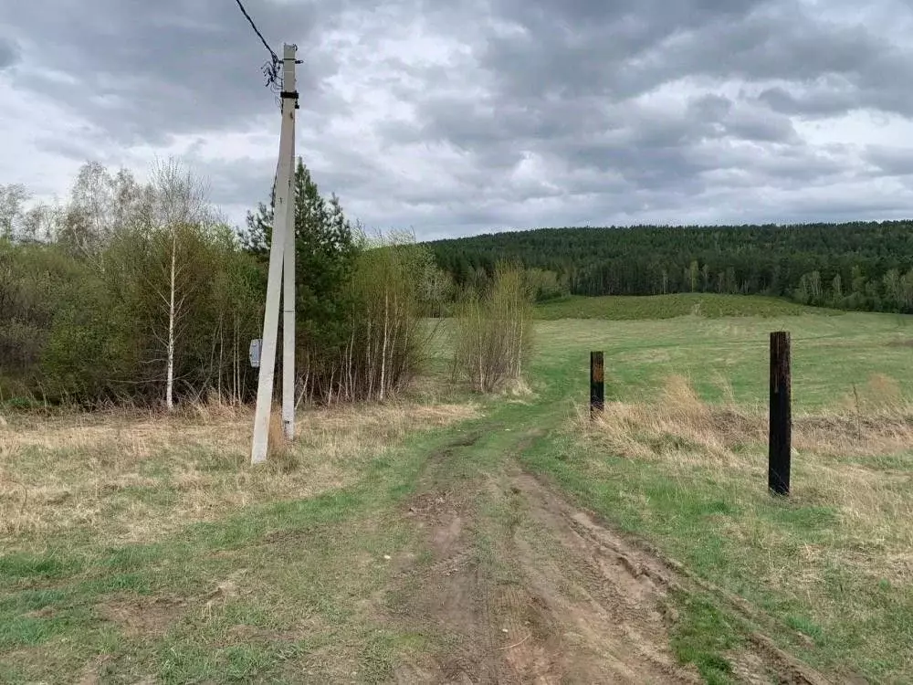 Участок в Иркутская область, Шелеховский район, Баклашинское ... - Фото 1