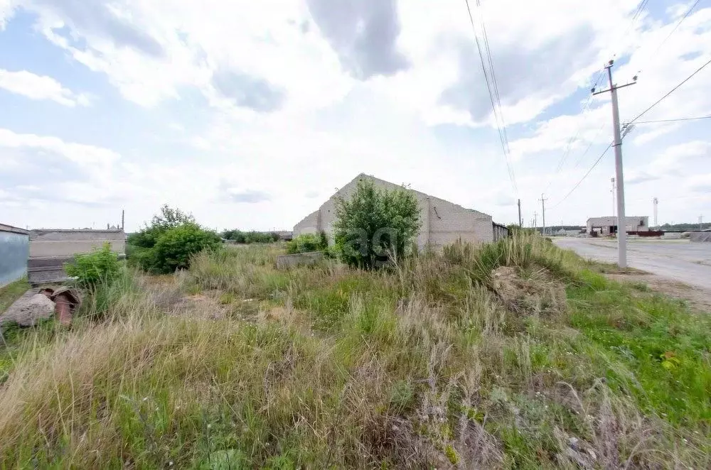 Участок в Курганская область, Шадринский муниципальный округ, с. ... - Фото 2
