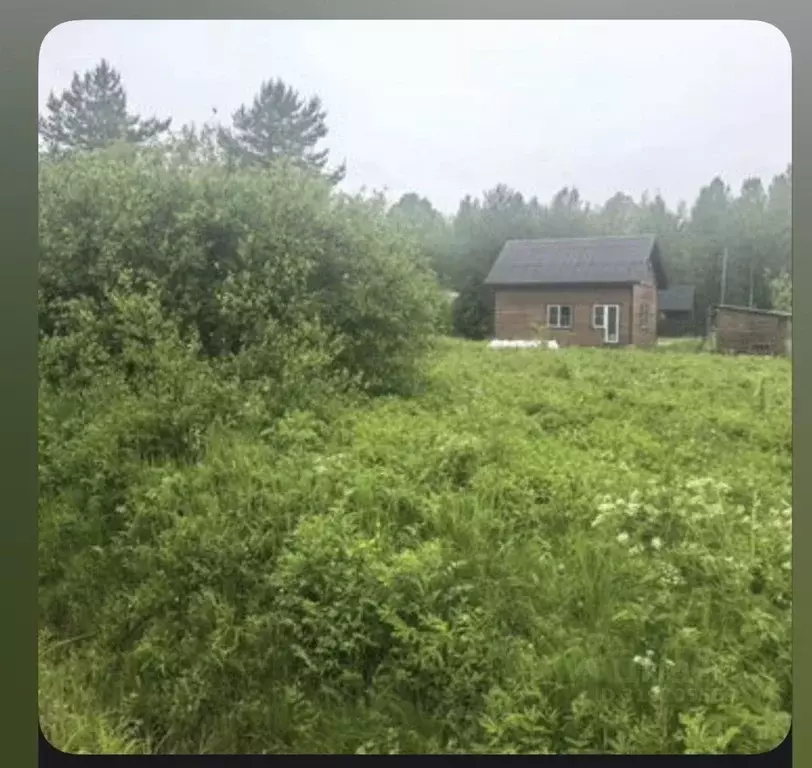 Участок в Ленинградская область, Выборгский район, Гончаровское с/пос, ... - Фото 0