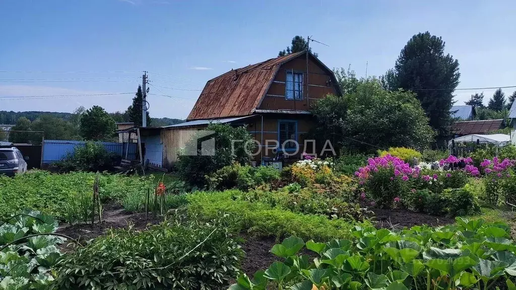 Участок в Новосибирская область, Новосибирск Золотая Горка СНТ, аллея ... - Фото 1