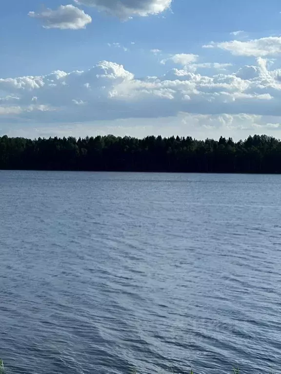 Участок в Новгородская область, Крестецкий муниципальный округ, д. ... - Фото 0