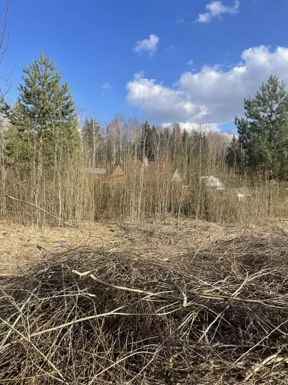 Участок в Тверская область, Конаковский муниципальный округ, Медик ... - Фото 0