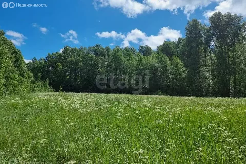 Участок в Калининградская область, Гурьевский муниципальный округ, ... - Фото 2