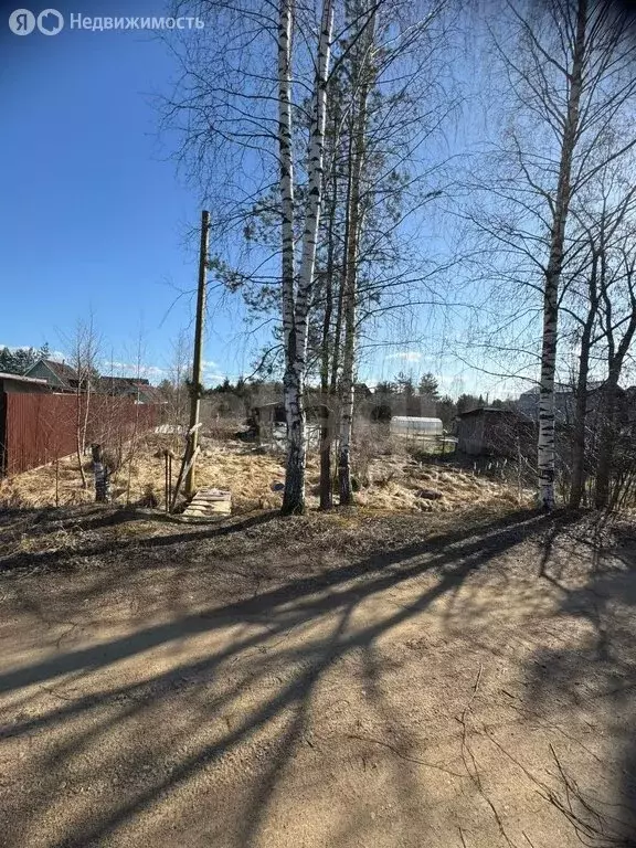 Участок в Мгинское городское поселение, садовое товарищество Славянка, ... - Фото 1