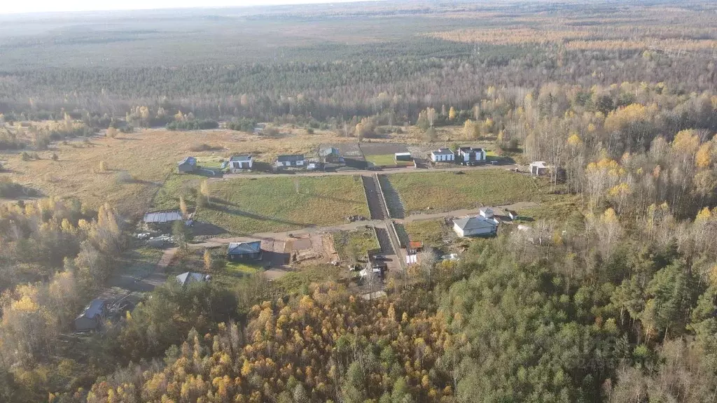 Участок в Ленинградская область, Ломоносовский район, Низинское с/пос, ... - Фото 1