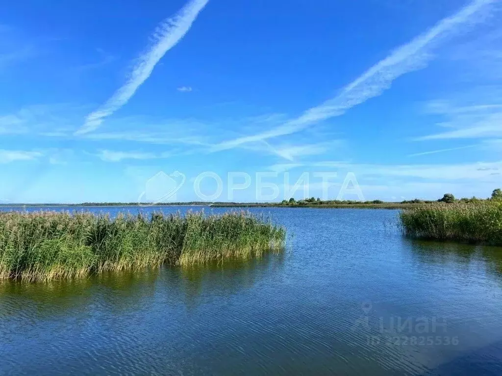 Участок в Тюменская область, Тюменский муниципальный округ, Боровский ... - Фото 1