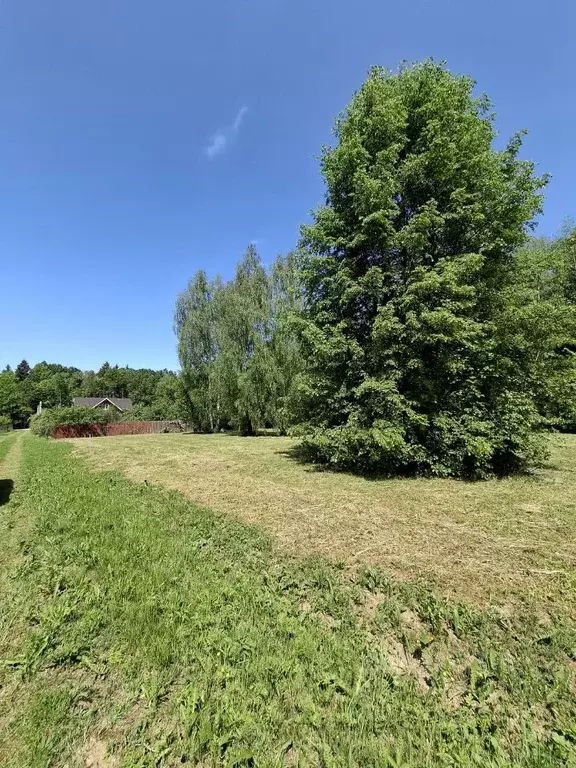 Участок в Московская область, Наро-Фоминский городской округ, ... - Фото 0