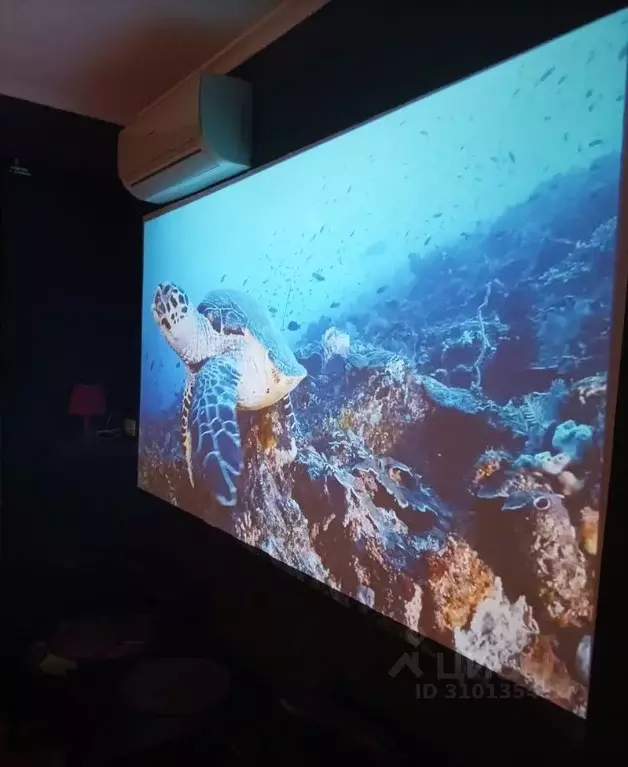 Комната Москва Юрловский проезд, 14к1 (20.0 м) - Фото 2