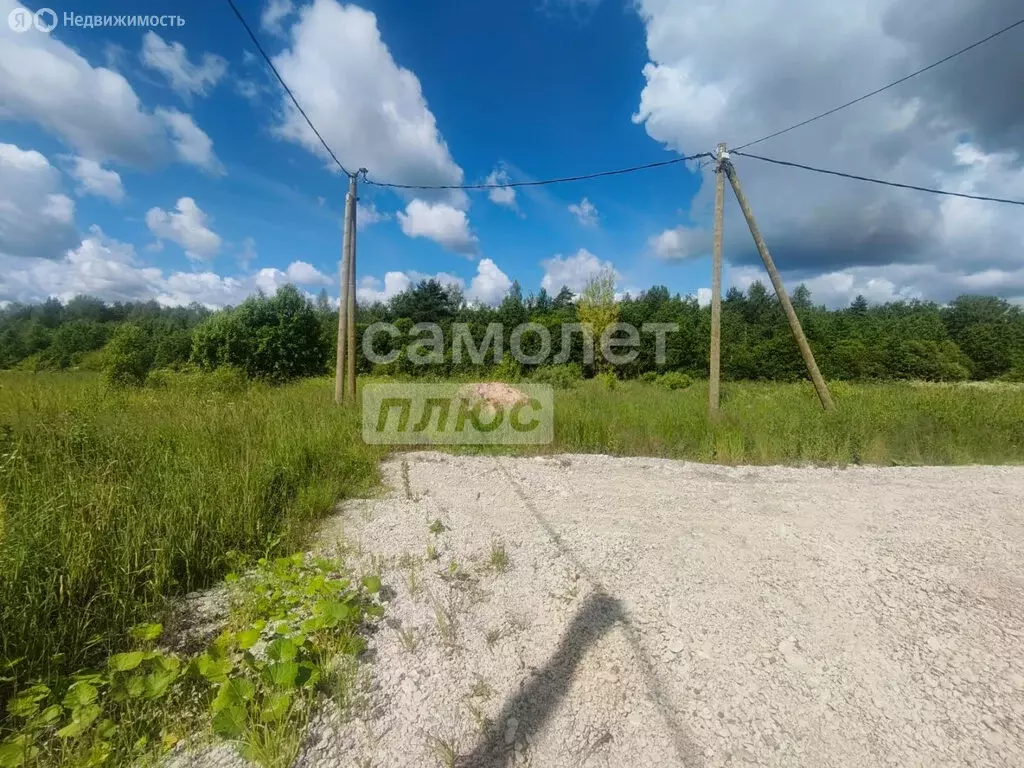 Участок в Любанское городское поселение, деревня Большое Переходное ... - Фото 2