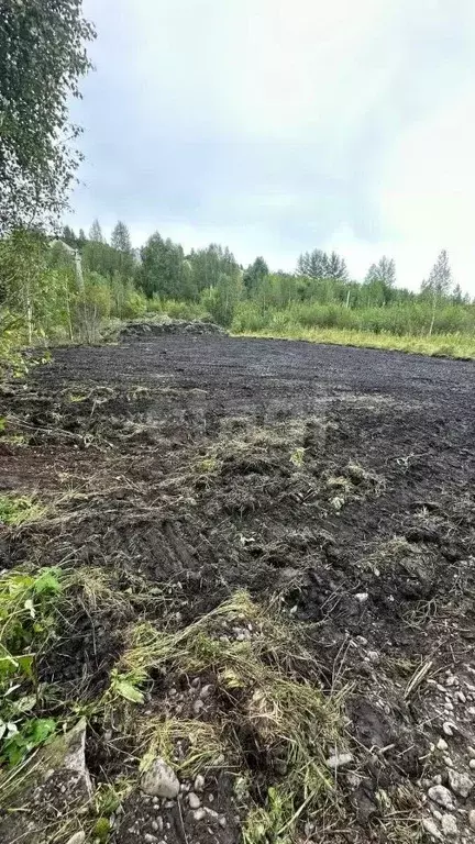 Участок в Алтай, Горно-Алтайск ул. Горно-Алтайская (10.0 сот.) - Фото 2