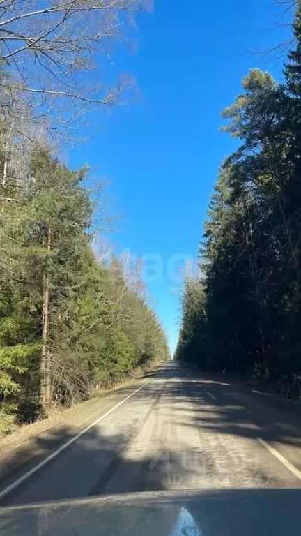 Участок в Московская область, Ступино городской округ, д. Дубечино  ... - Фото 1