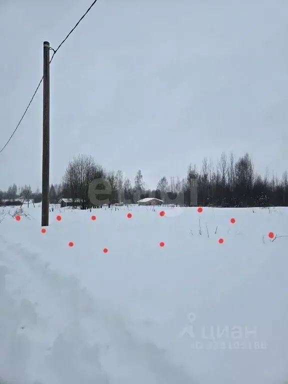 Участок в Вологодская область, д. Коробово  (8.0 сот.) - Фото 2