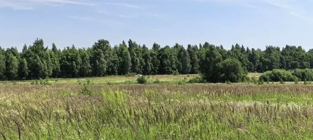 Участок в Татарстан, Пестречинский район, Богородское с/пос, д. Куюки  ... - Фото 2