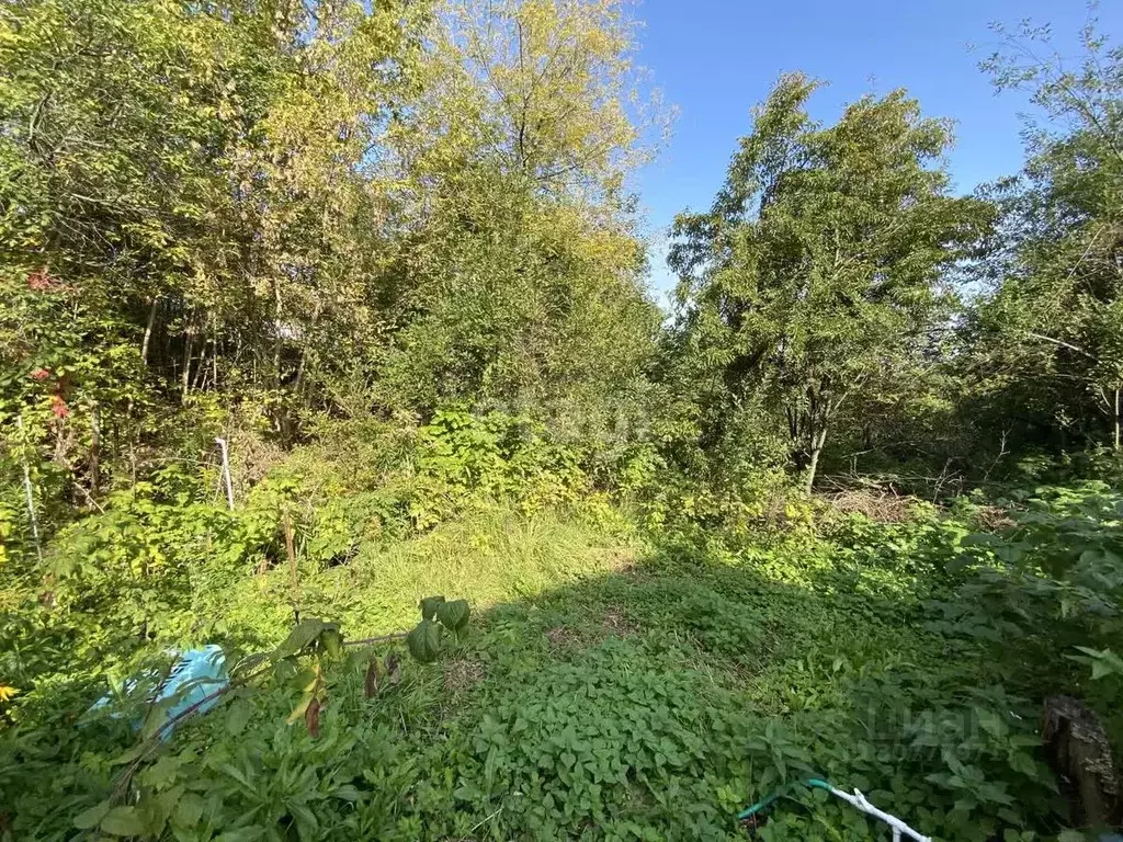 Дом в Нижегородская область, Нижний Новгород Рыбак СНТ, 1 (60 м) - Фото 1