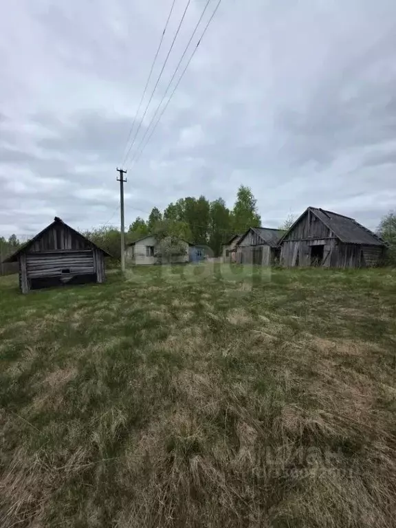 Дом в Псковская область, Островский муниципальный округ, Воронцовская ... - Фото 2