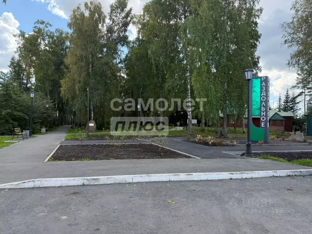 Участок в Новосибирская область, Новосибирский район, с. Раздольное ... - Фото 1