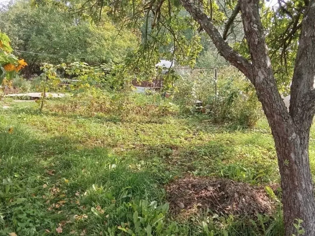 Участок в Чувашия, Шумерля Химик-1 СДТ,  (6.41 сот.) - Фото 2