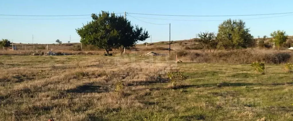 Участок в Крым, Керчь Дельфин садовое товарищество, ул. Тенистая (5.04 ... - Фото 1