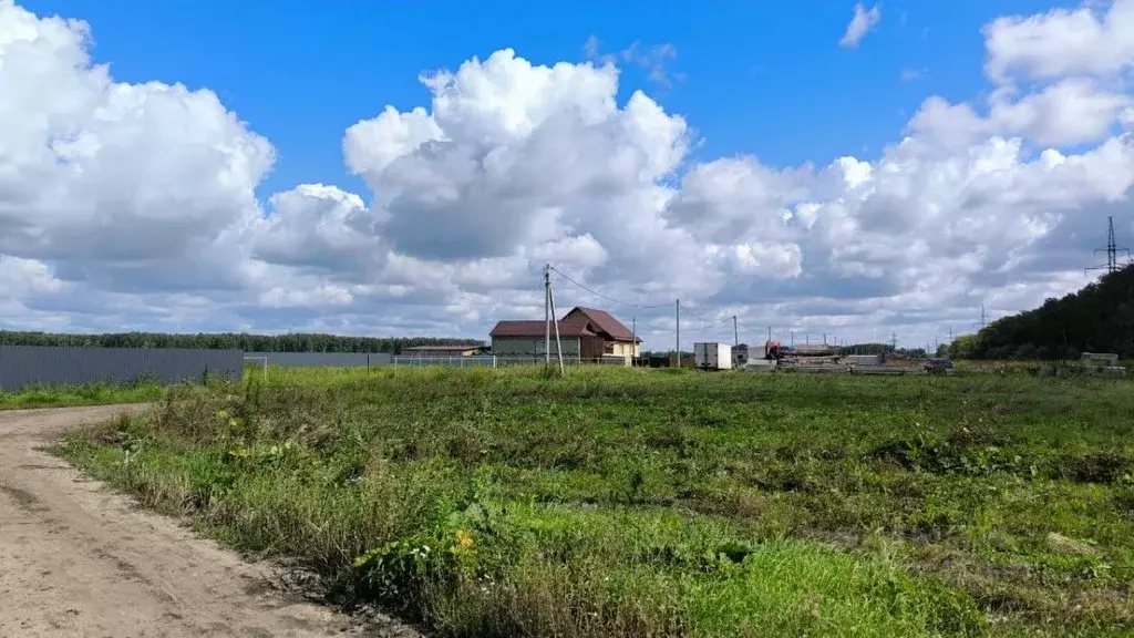 Участок в Омская область, Омский район, с. Пушкино ул. Ленина (15.0 ... - Фото 1