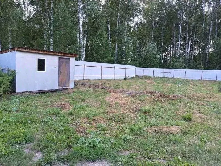 Участок в Тюменская область, Тюмень Сигнал садовое товарищество, ул. ... - Фото 0