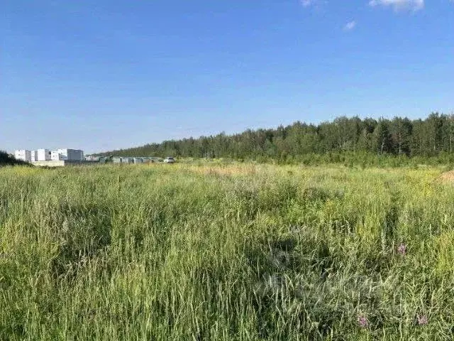 Участок в Оренбургская область, Оренбург городской округ, пос. ... - Фото 1