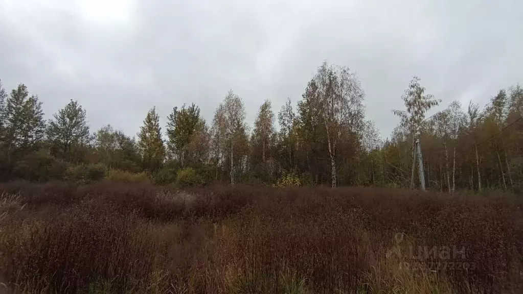 Участок в Московская область, Шатура  (6.0 сот.) - Фото 0