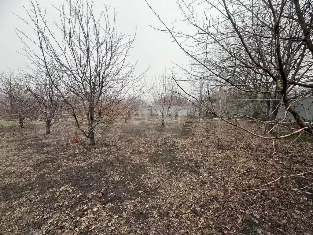 Участок 12,5 сот. (ИЖС) - Фото 0
