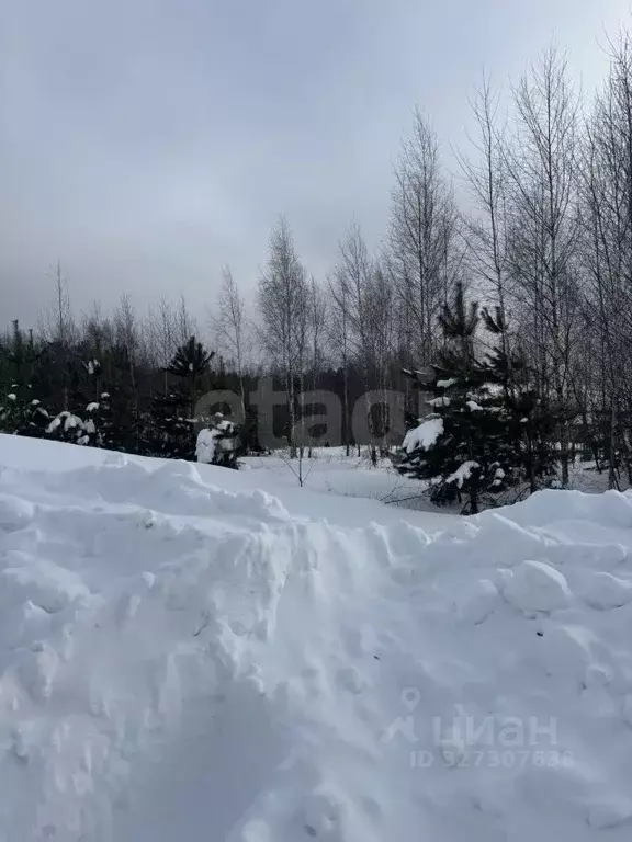 Участок в Владимирская область, Ковров  (10.54 сот.) - Фото 2