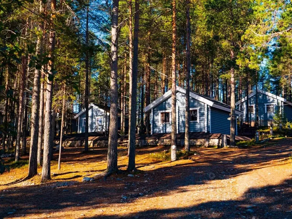 Дом в Карелия, Калевала пгт ул. Вяйнямейнена, 136 (45 м) - Фото 2