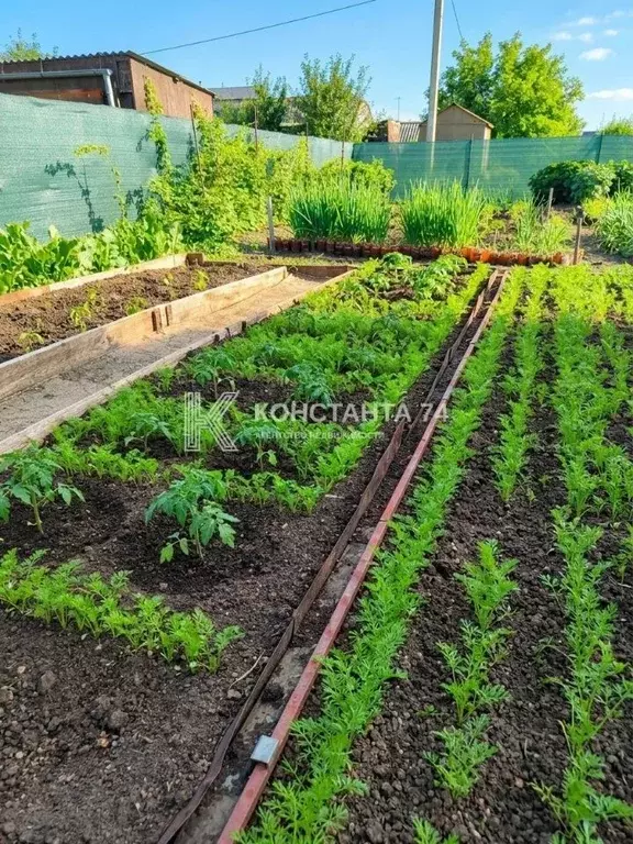 Дом в Челябинская область, Чебаркуль Литейщик СНТ,  (20 м) - Фото 1