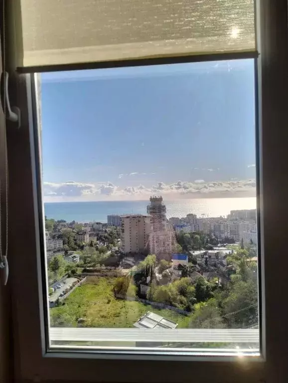 1-к кв. Краснодарский край, Сочи Виноградная ул., 224/11 (35.0 м) - Фото 1