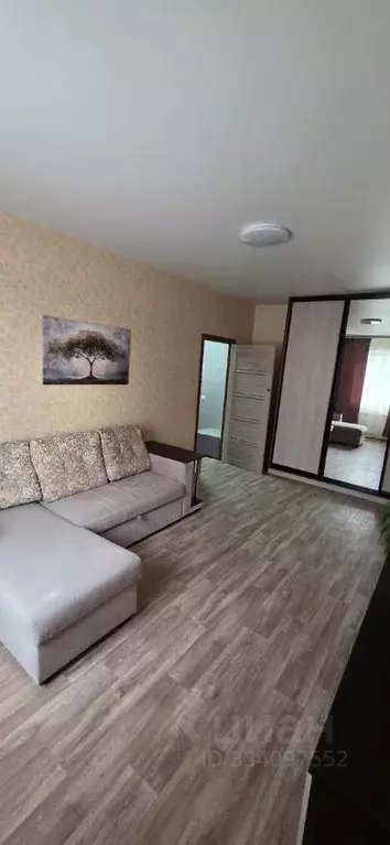 1-к кв. Самарская область, Жигулевск Пролетарская ул., 19 (33.4 м) - Фото 2