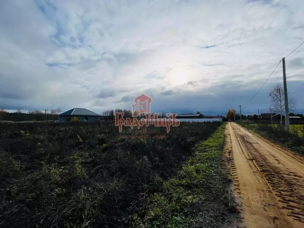 Участок в Владимирская область, Александровский район, Андреевское ... - Фото 1