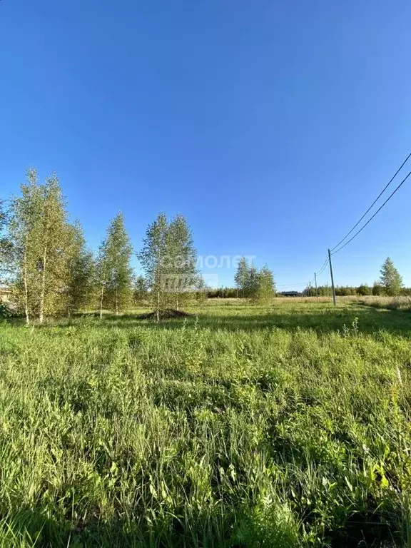 Участок в Марий Эл, Йошкар-Ола городской округ, д. Шоя-Кузнецово ул. ... - Фото 0