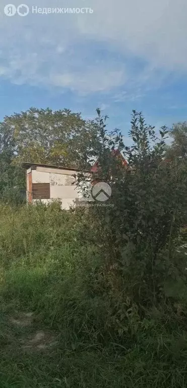 Участок в Колыванский район, СНТ Вечерний, Садовая улица, 5 (6 м) - Фото 1