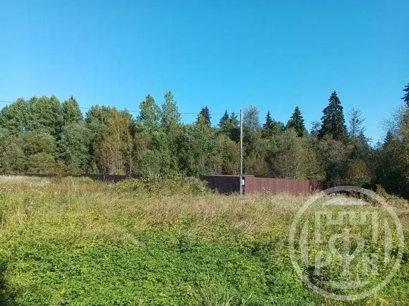 Участок в Ленинградская область, Выборгский район, Красносельское ... - Фото 1