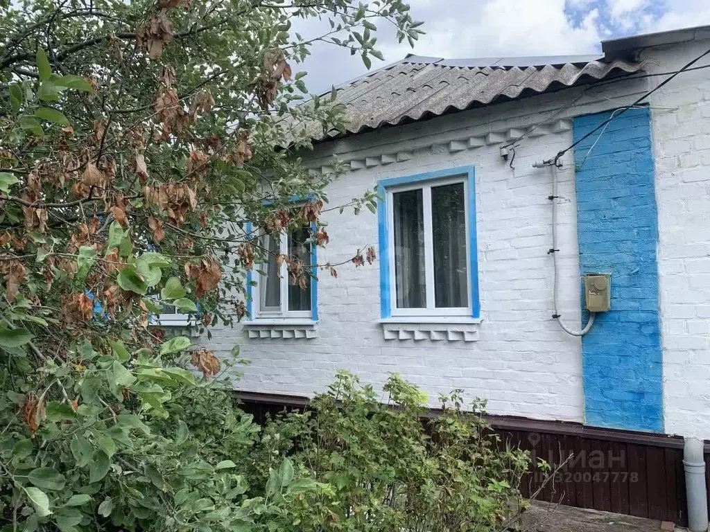 Дом в Белгородская область, Вейделевский район, с. Белый Колодезь ул. ... - Фото 0