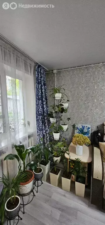 1-комнатная квартира: Майма, улица Строителей, 5 (27.9 м) - Фото 1