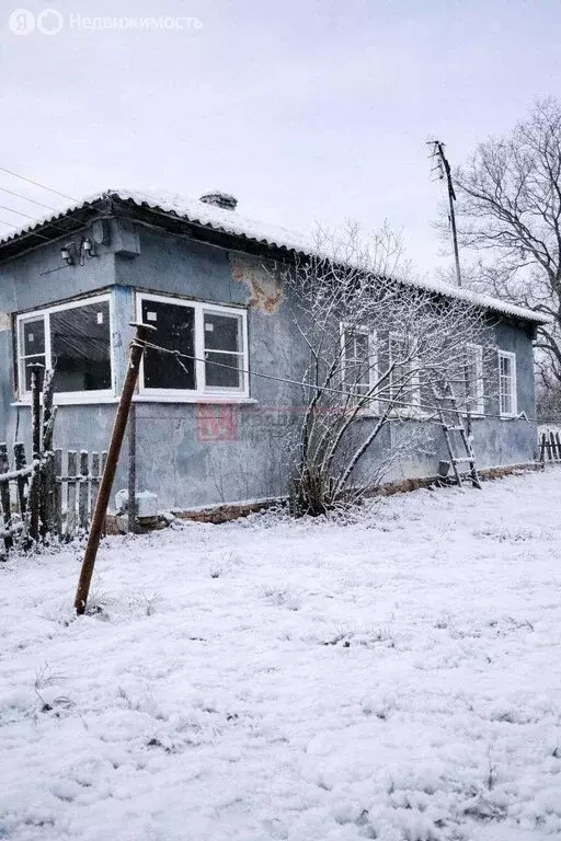 Дом в село Сосновка, Лесная улица (53 м) - Фото 2
