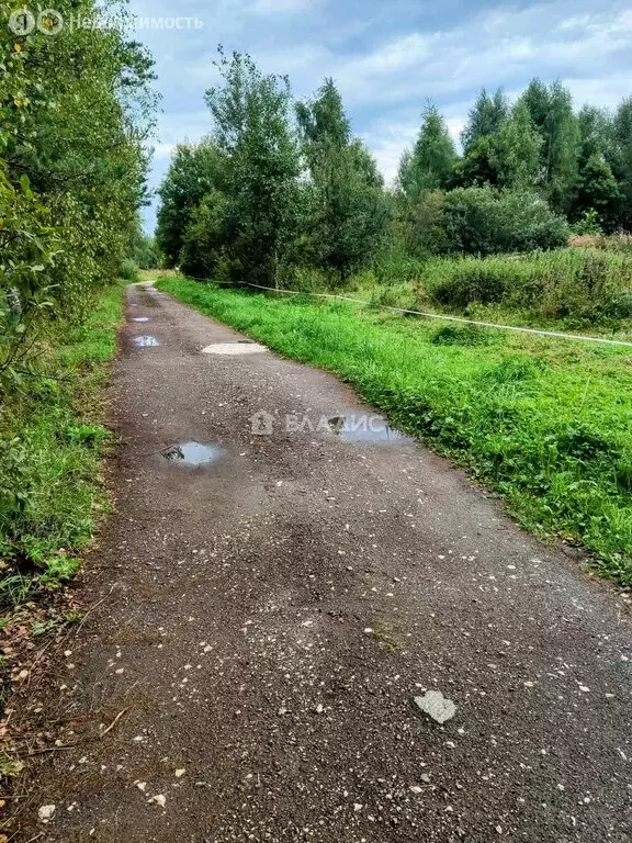 Участок в Владимирская область, Судогодский муниципальный округ, ... - Фото 1
