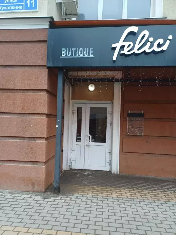 Помещение свободного назначения в Воронежская область, Воронеж ул. ... - Фото 2