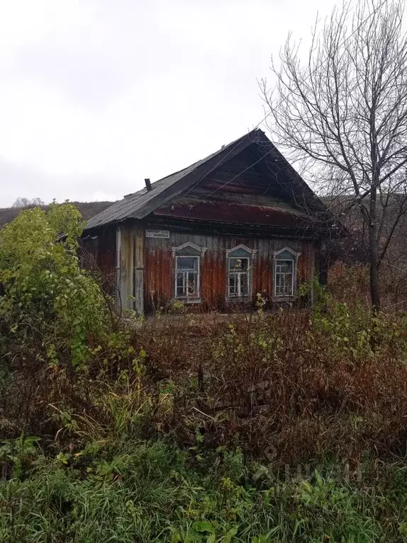 Участок в Башкортостан, Благовещенский район, с. Бедеева Поляна ... - Фото 2