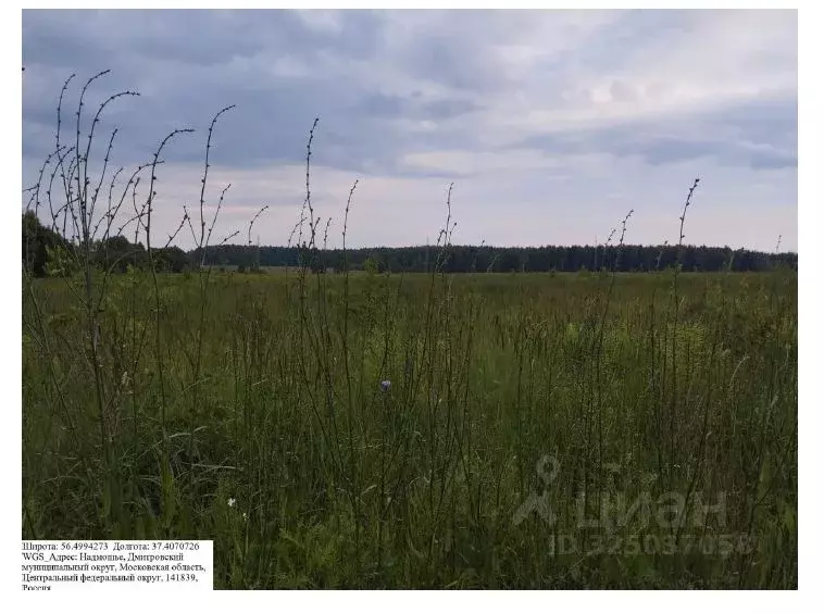 Участок в Московская область, Дмитровский муниципальный округ, д. ... - Фото 1