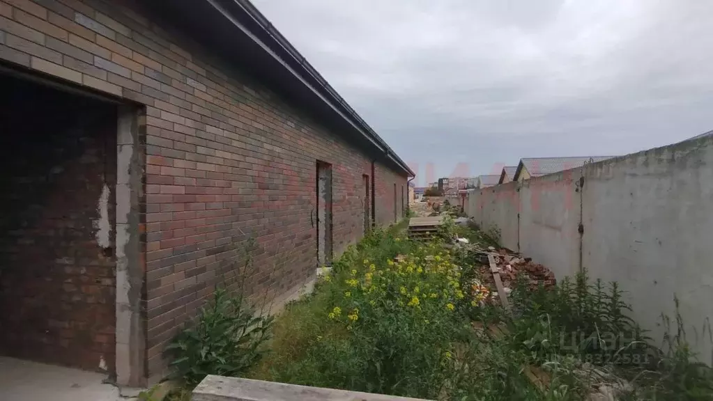 Торговая площадь в Ростовская область, Волгодонск ул. Дружбы, 1А (322 ... - Фото 1