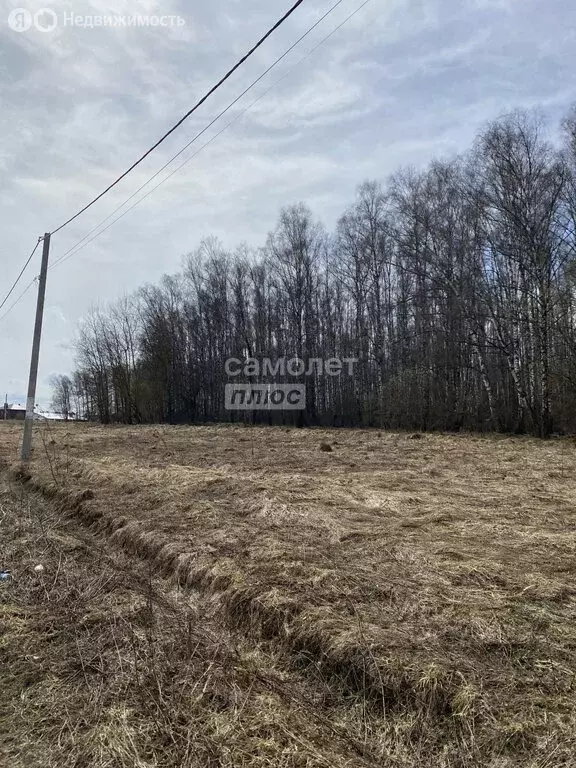 Участок в Московская область, городской округ Серпухов, деревня ... - Фото 1