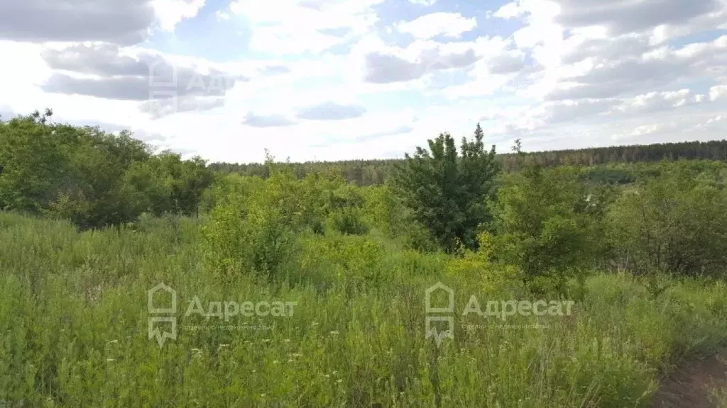Участок в Волгоградская область, Волгоград Авангард СНТ,  (15.0 сот.) - Фото 0